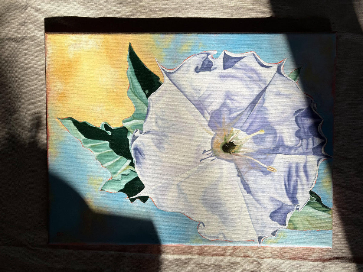 Original Sacred Datura Painting — Oil On Canvas (11x16)