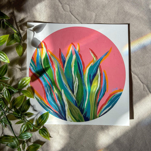 A square art print featuring a colorful succulent plant inside a pink circle, styled on a beige fabric background with a plant and natural light shadows.