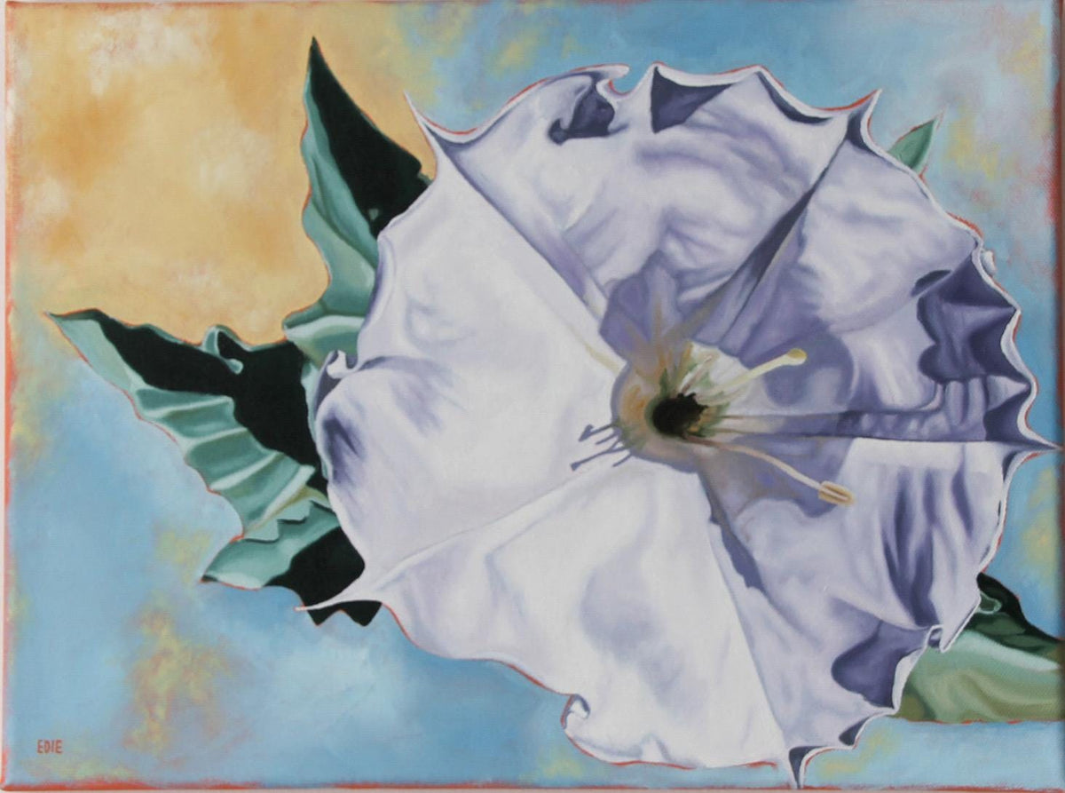 Original Sacred Datura Painting — Oil On Canvas (11x16)