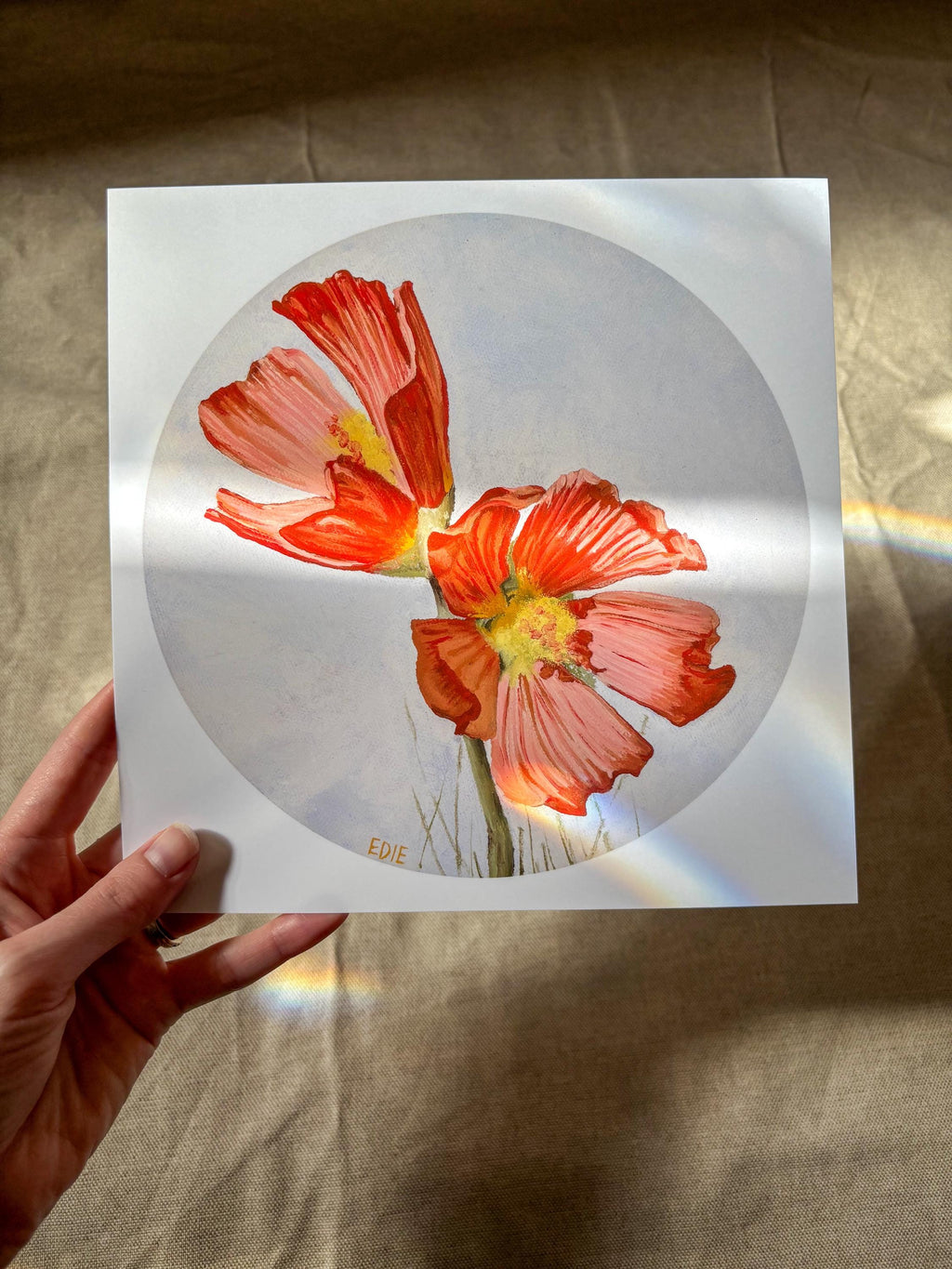 Red Poppy — Breezy Giclée Print — Utah wildflower meadows