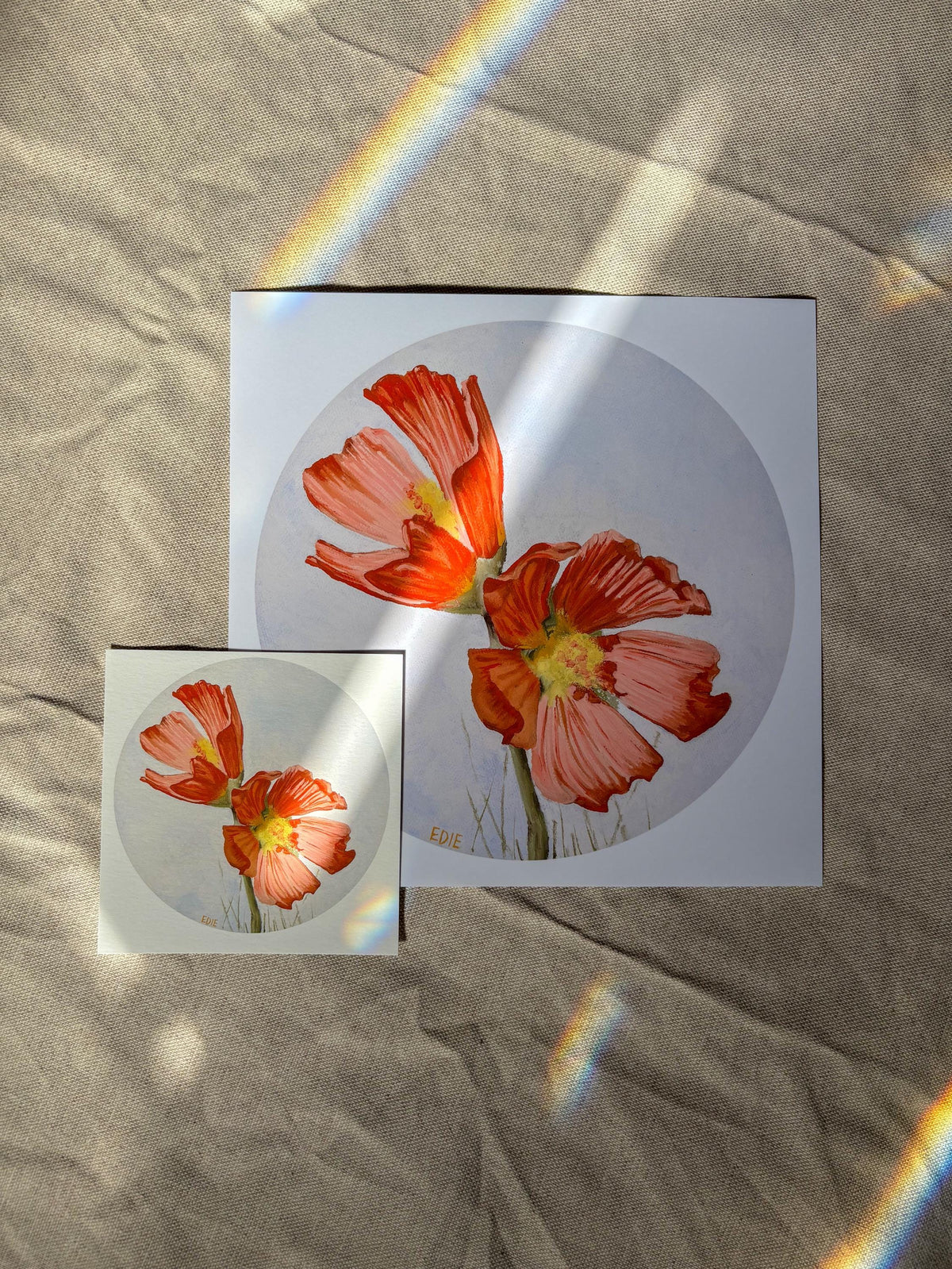 Red Poppy — Breezy Giclée Print — Utah wildflower meadows