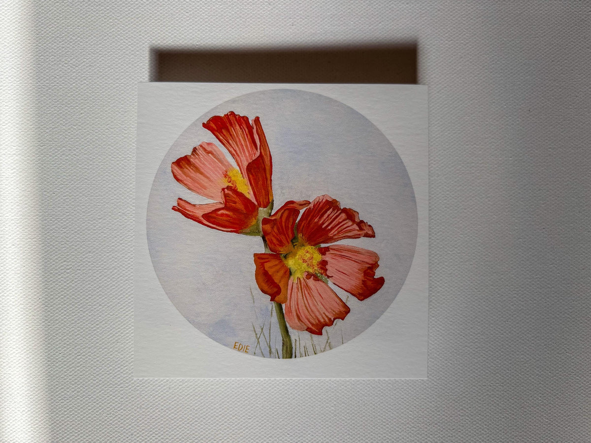 Red Poppy — Breezy Giclée Print — Utah wildflower meadows