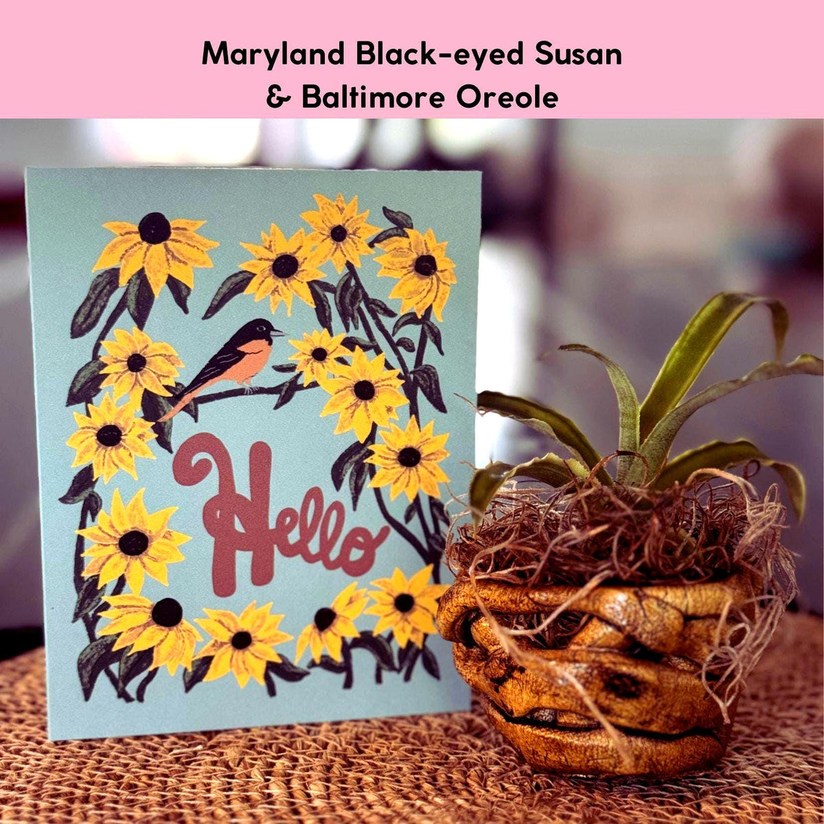Maryland State Flower & Bird Greeting Card — Farmhouse Floral · Black-Eyed Susan & Baltimore Oriole