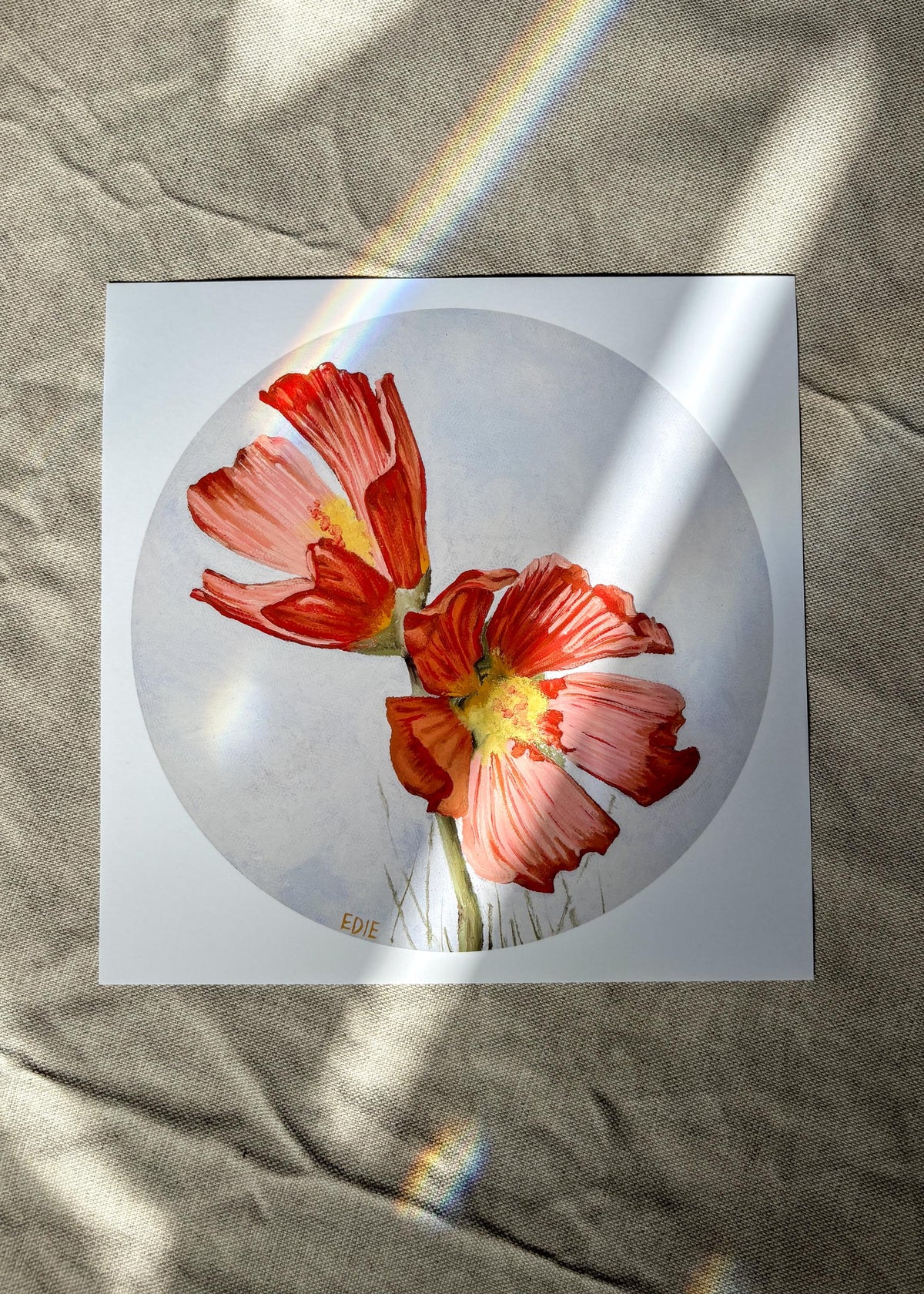 Red Poppy — Breezy Giclée Print — Utah wildflower meadows