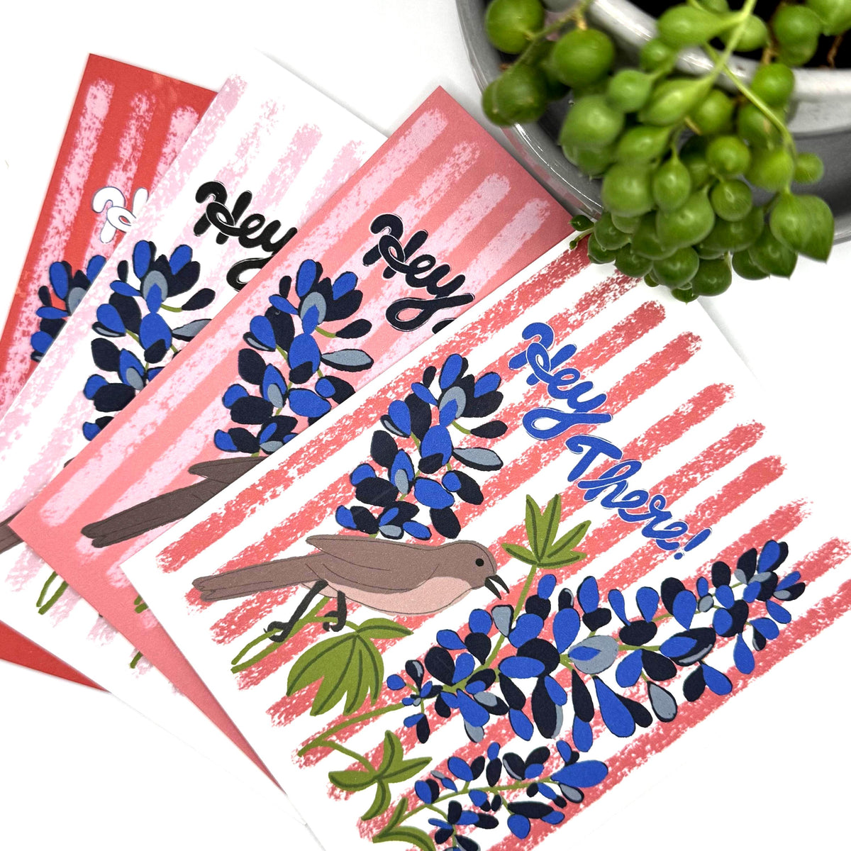 Texas Southern Preppy Note Cards · Bluebonnet & Mockingbird