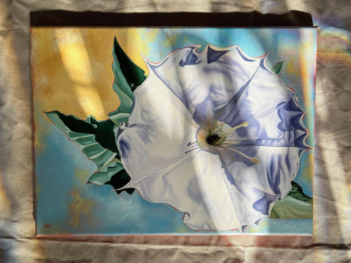 Original Sacred Datura Painting — Oil On Canvas (11x16)