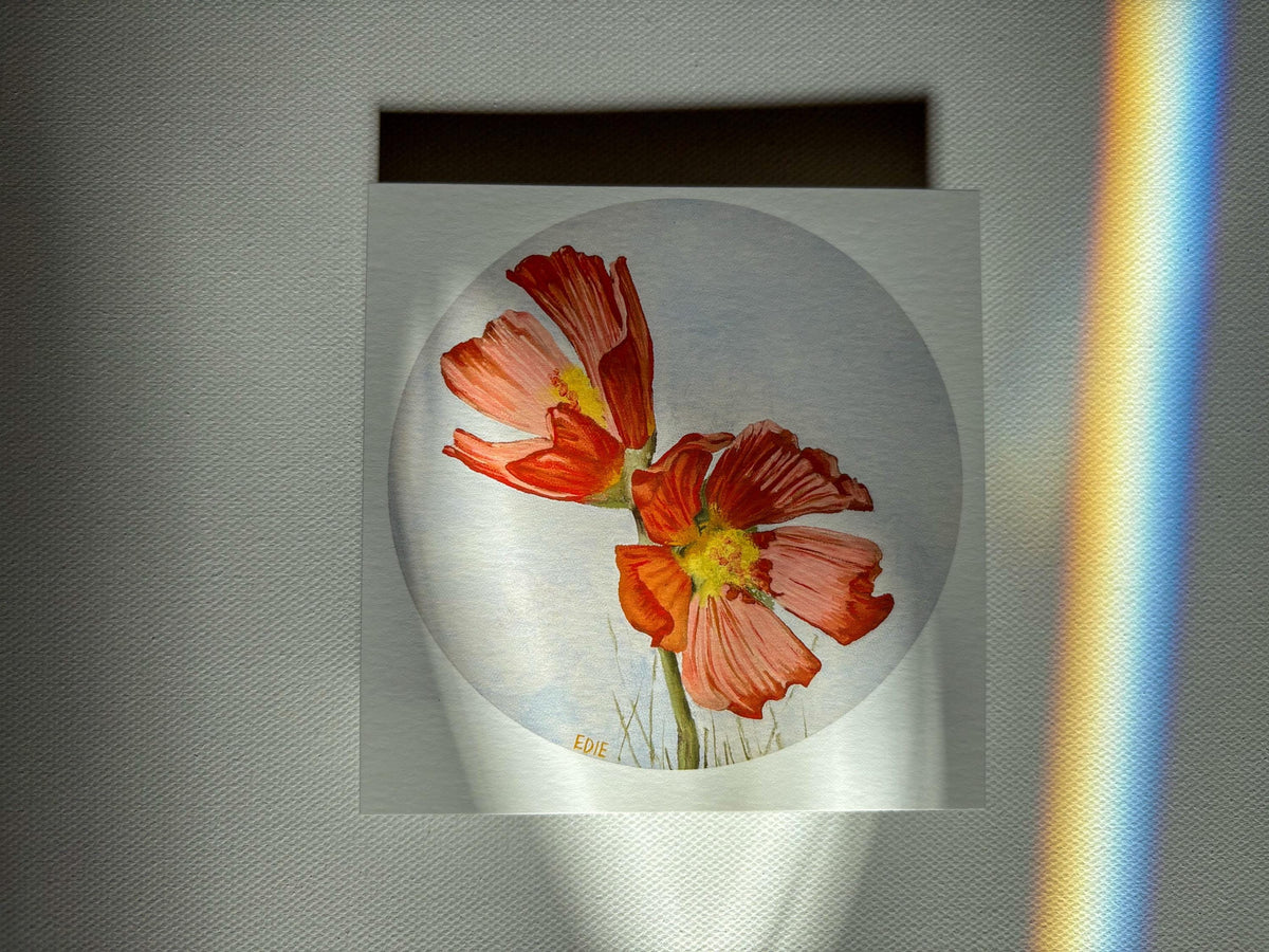 Red Poppy — Breezy Giclée Print — Utah wildflower meadows