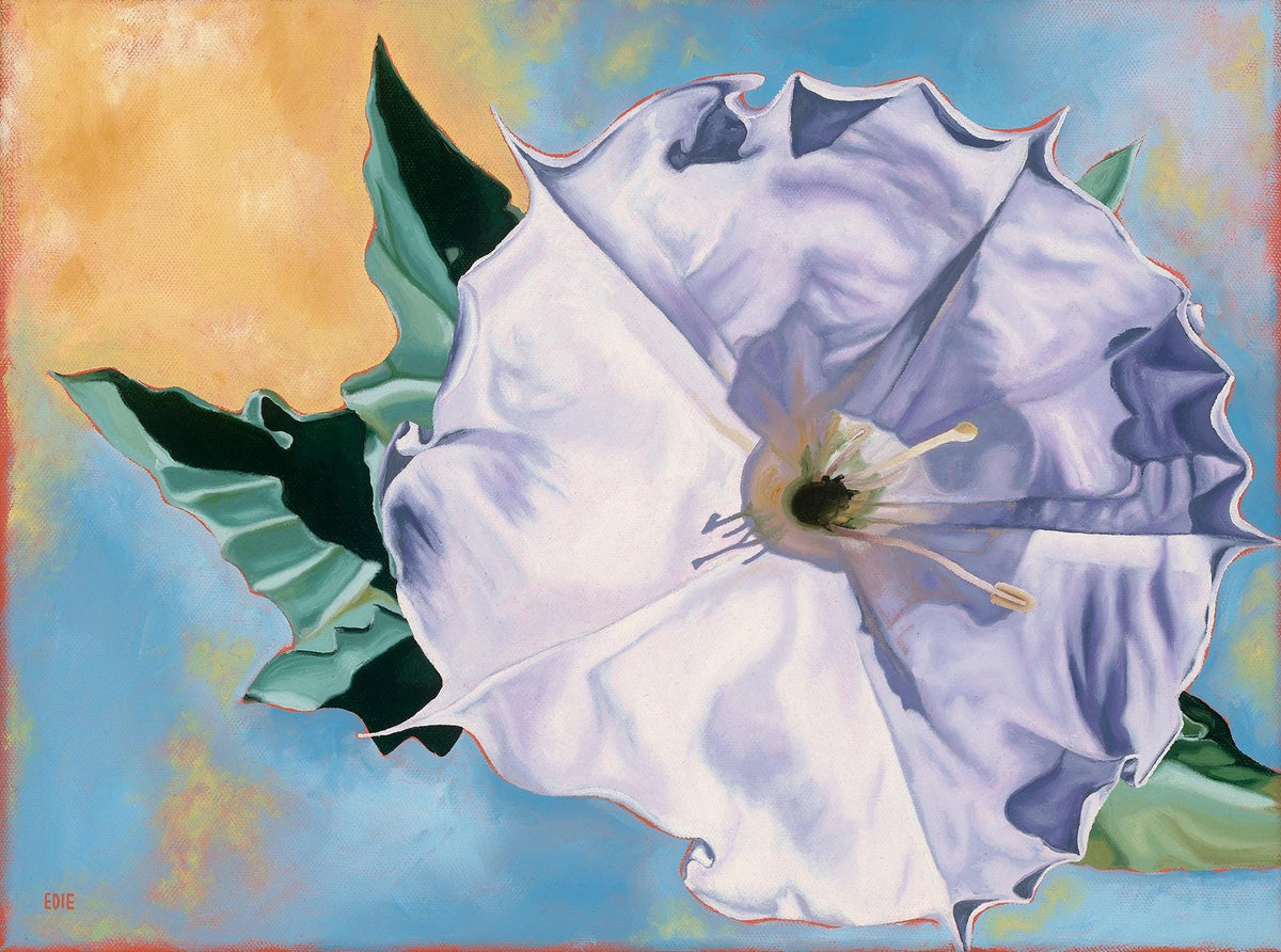 Sacred Datura Flower Giclée Print — Zion National Park wildflower