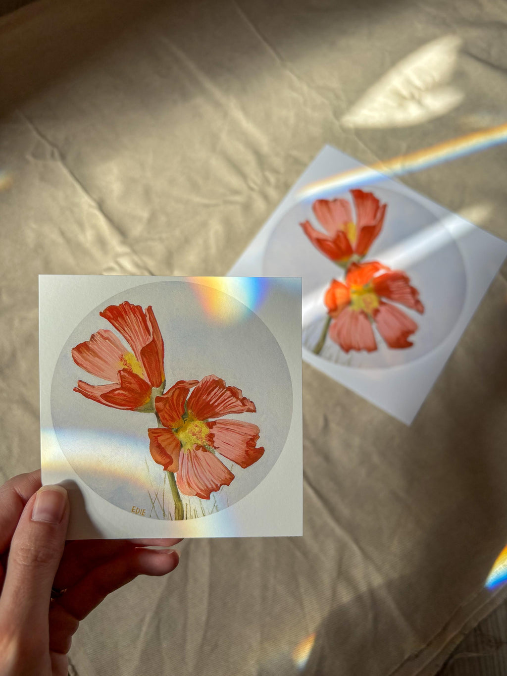 Red Poppy — Breezy Giclée Print — Utah wildflower meadows