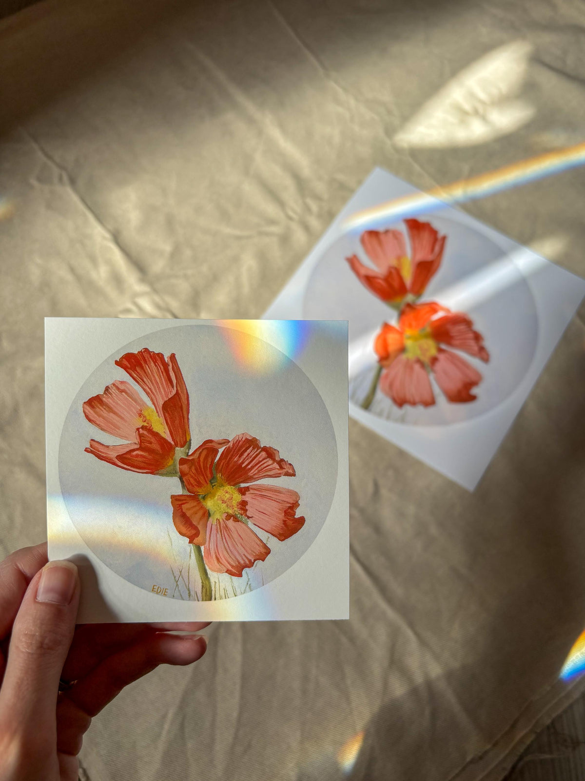 Red Poppy — Breezy Giclée Print — Utah wildflower meadows
