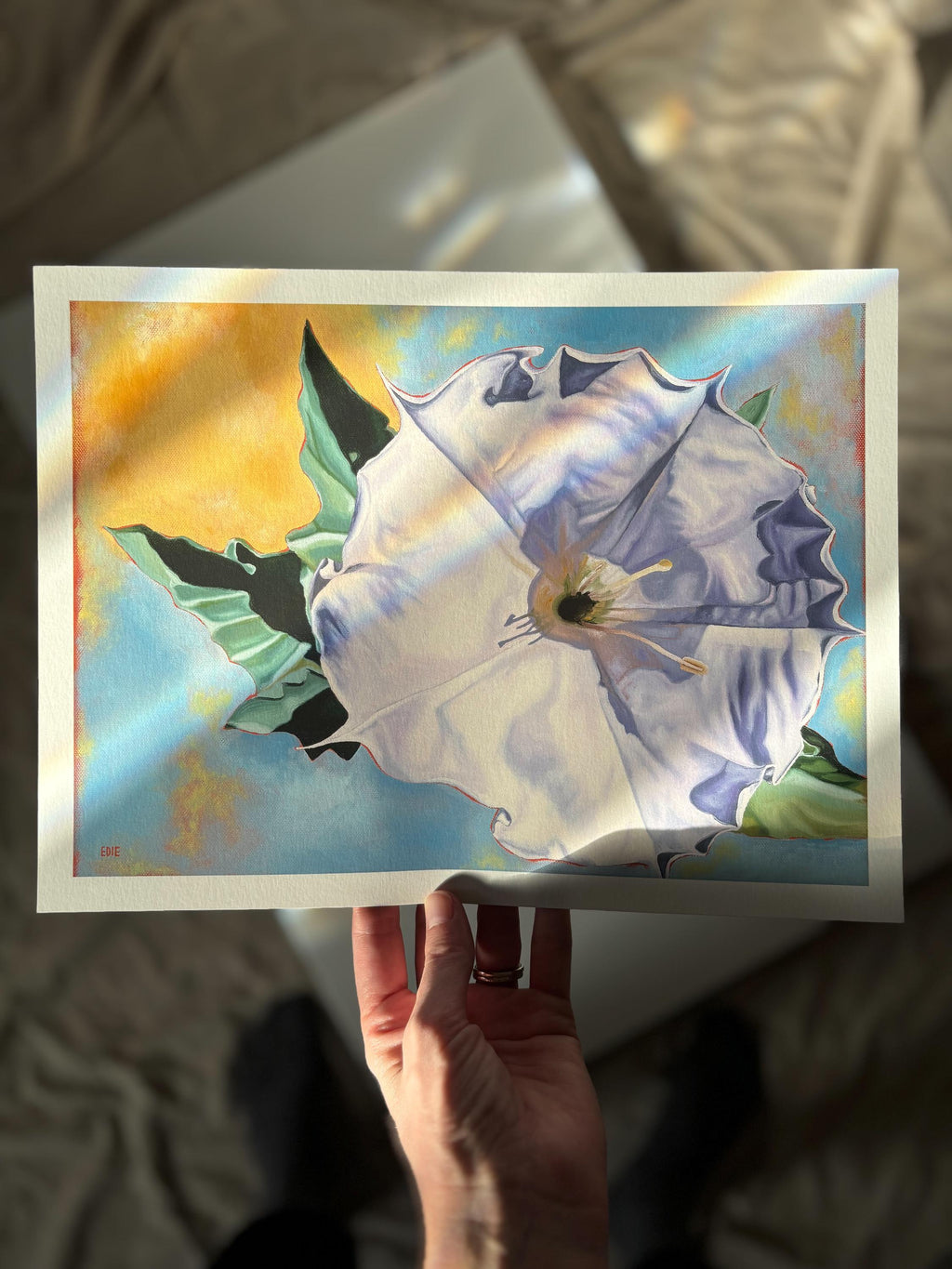 Sacred Datura Flower Giclée Print — Zion National Park wildflower