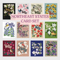 Northeast States Flower & Bird Card Collection — 12-Card Set