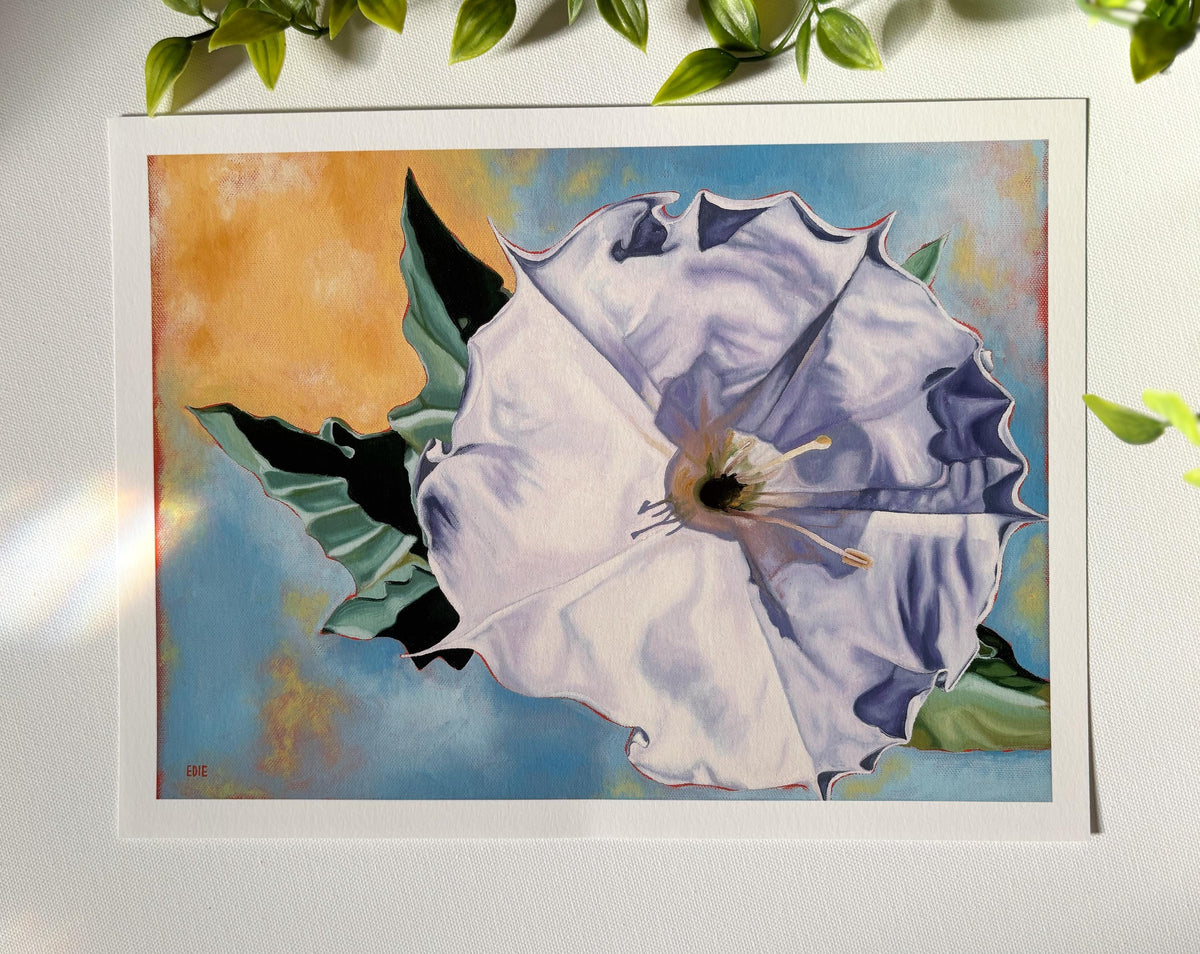 Sacred Datura Flower Giclée Print — Zion National Park wildflower
